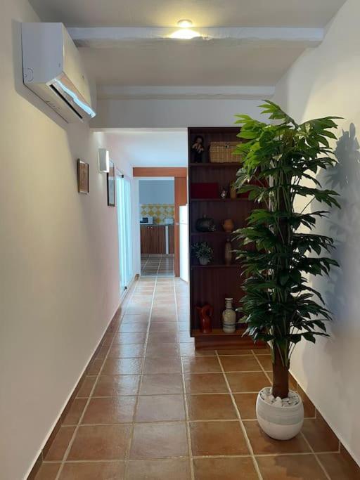 Villa Casa Da Oliveira Mourão Exterior foto